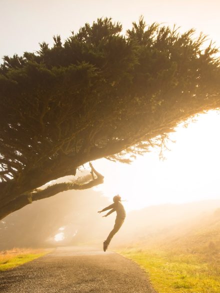 silhouette of person jumping under tree